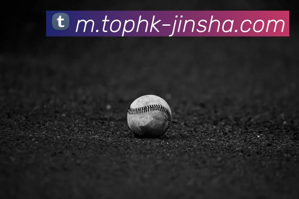 金沙娱乐城服务体系